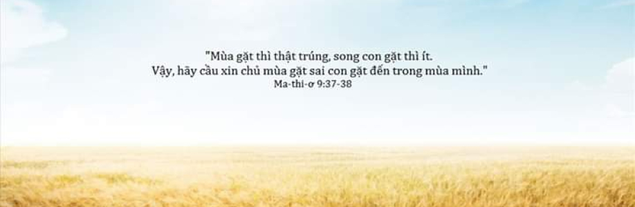 Trần Ngọc Bích Cover Image