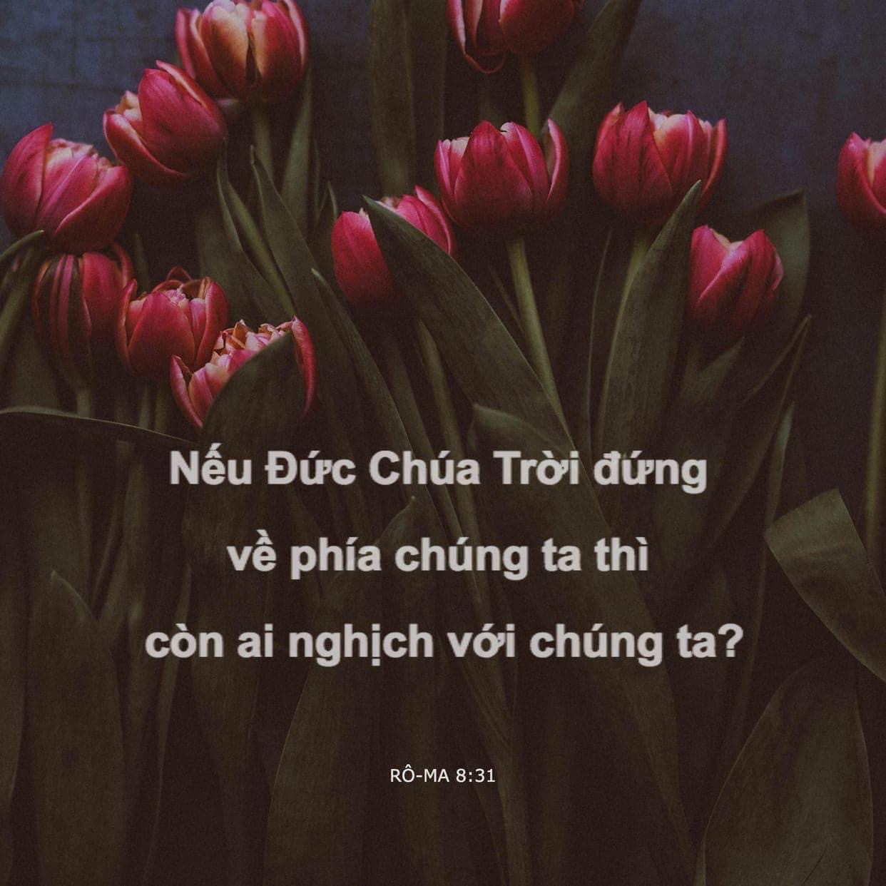 SUY GẪM SÁCH JESUS GỌI