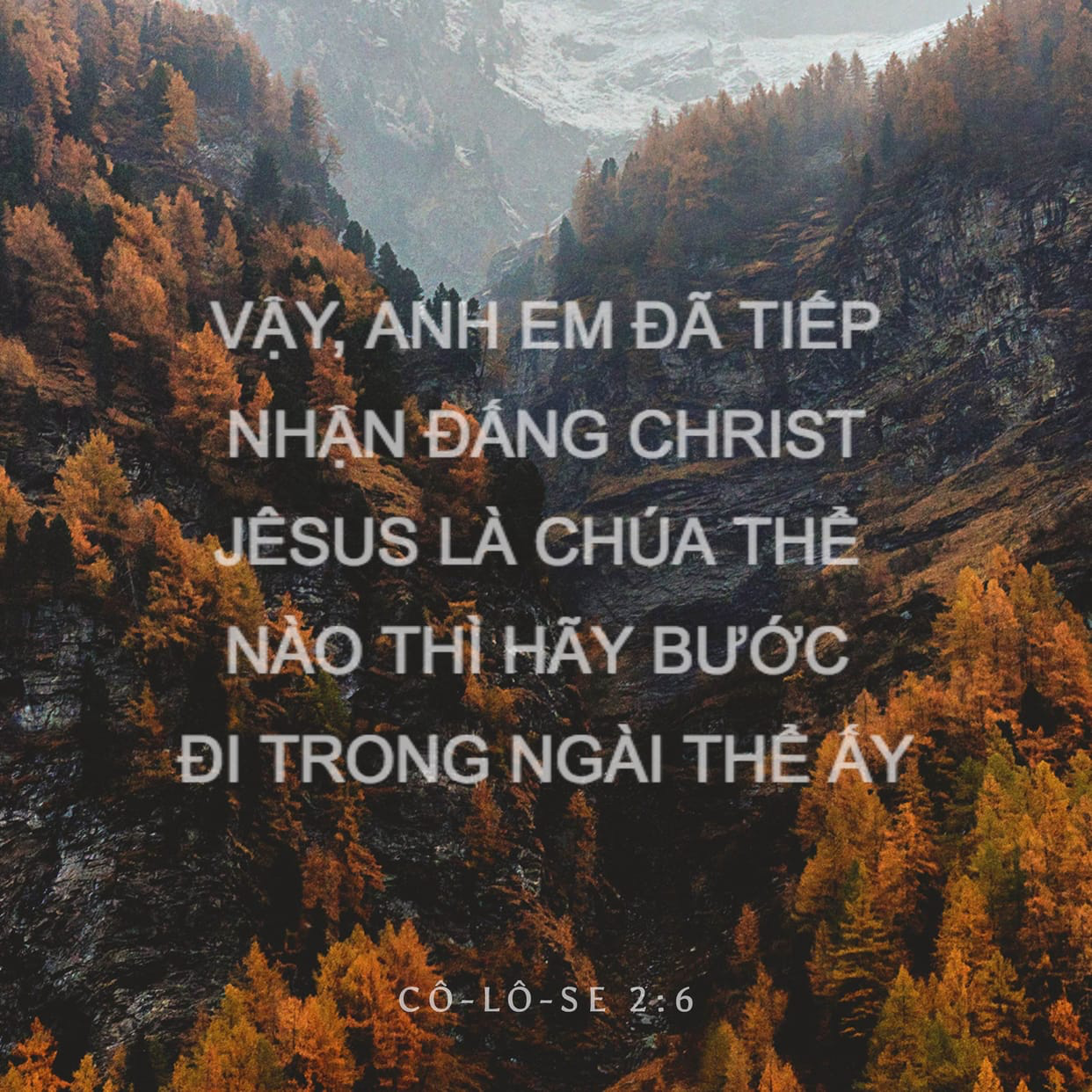 SUY GẪM SÁCH JESUS GỌI