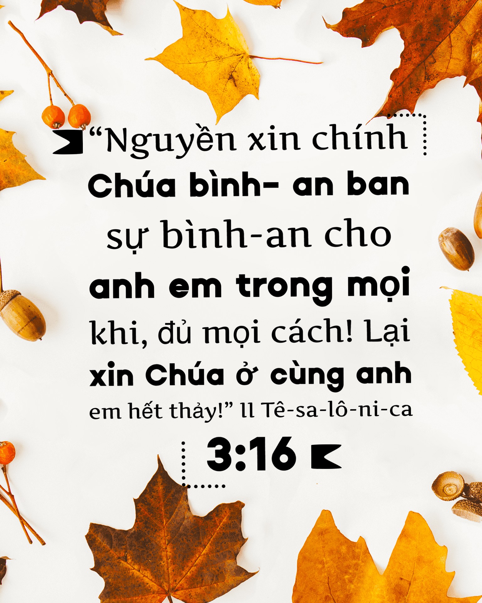 SUY GẪM SÁCH JESUS GỌI 