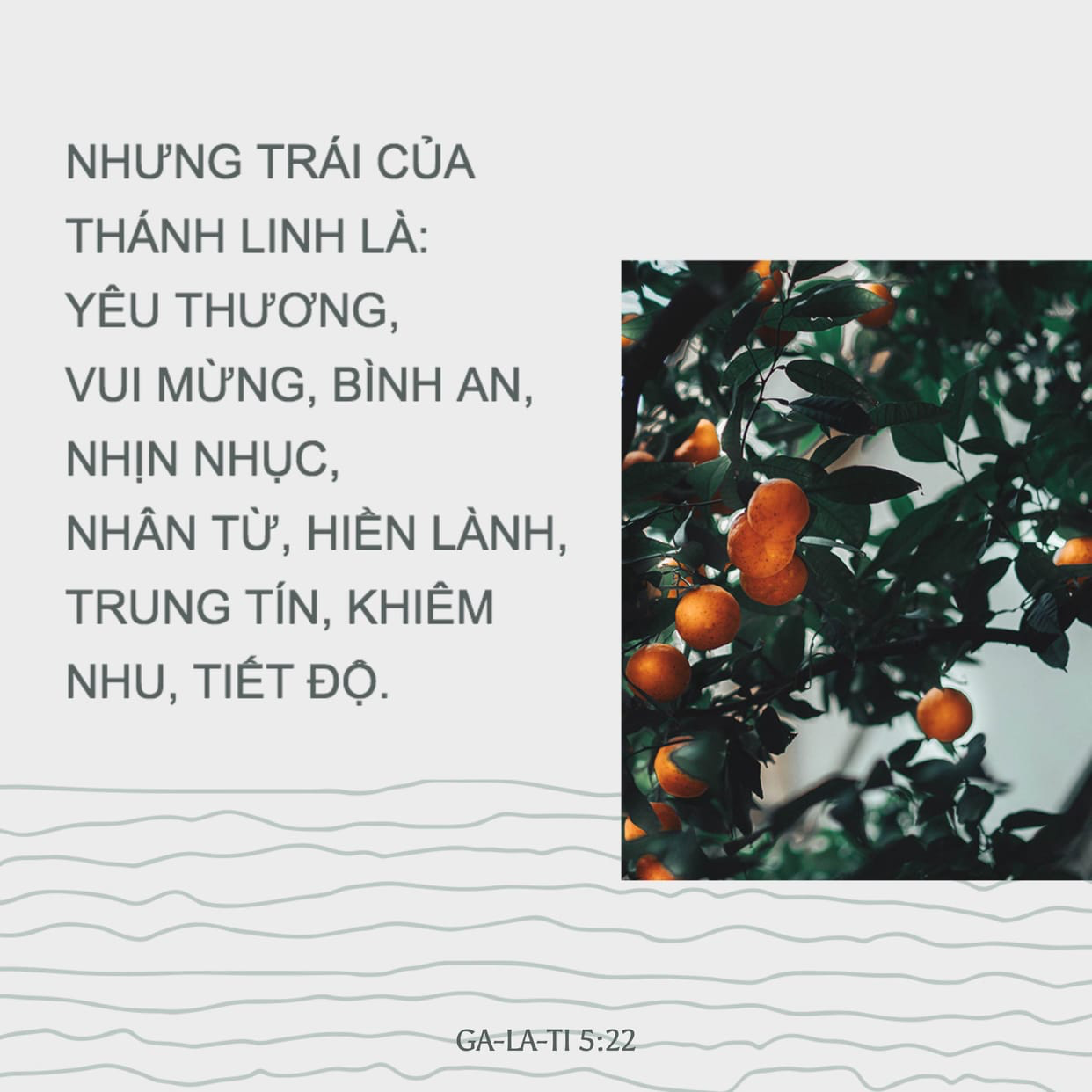 SUY GẪM SÁCH JESUS GỌI 